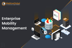 Enterprise Mobility Management: Business Importance and Glossary