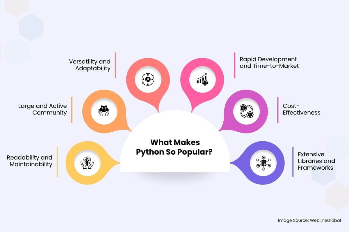 What Makes Python So Popular