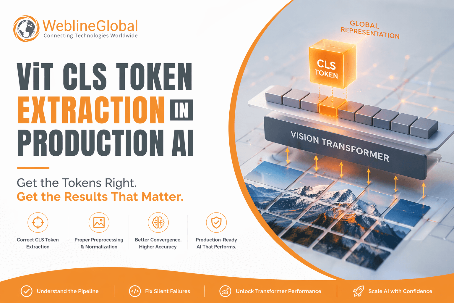 ViT CLS token extraction