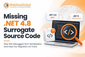 Missing .NET 4.8 Surrogate Source Code