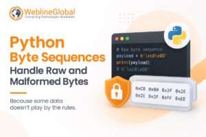 Python byte sequences